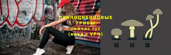 PSILOCYBIN Кукмор