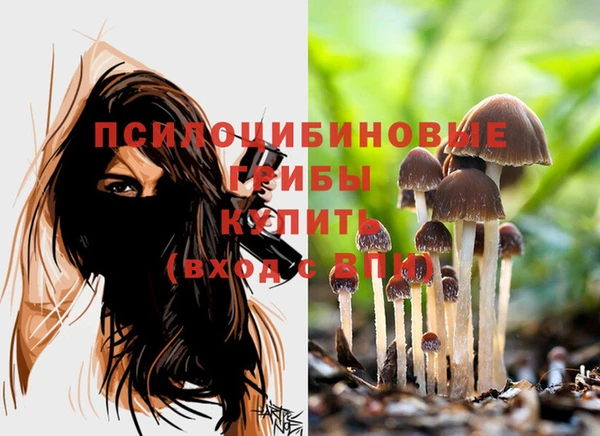 дживик Куйбышев