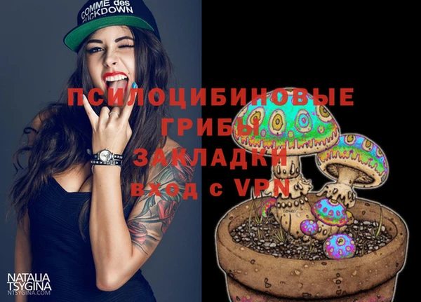 стафф Шадринск