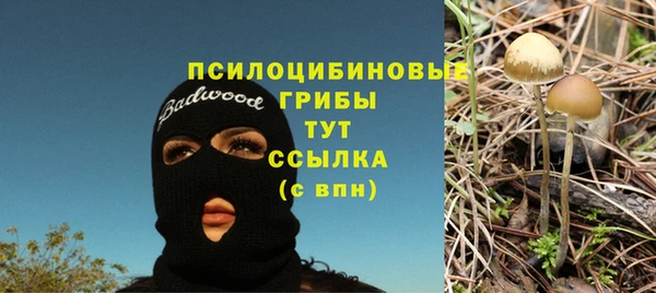 спиды Кулебаки