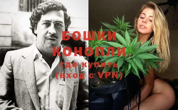 PSILOCYBIN Кукмор