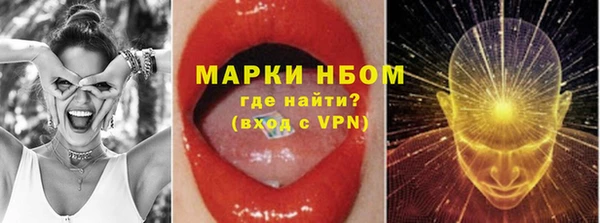 PSILOCYBIN Кукмор