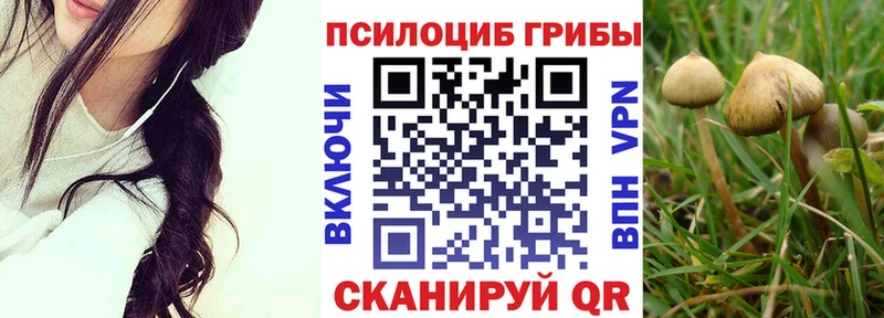Псилоцибиновые грибы Cubensis Шенкурск